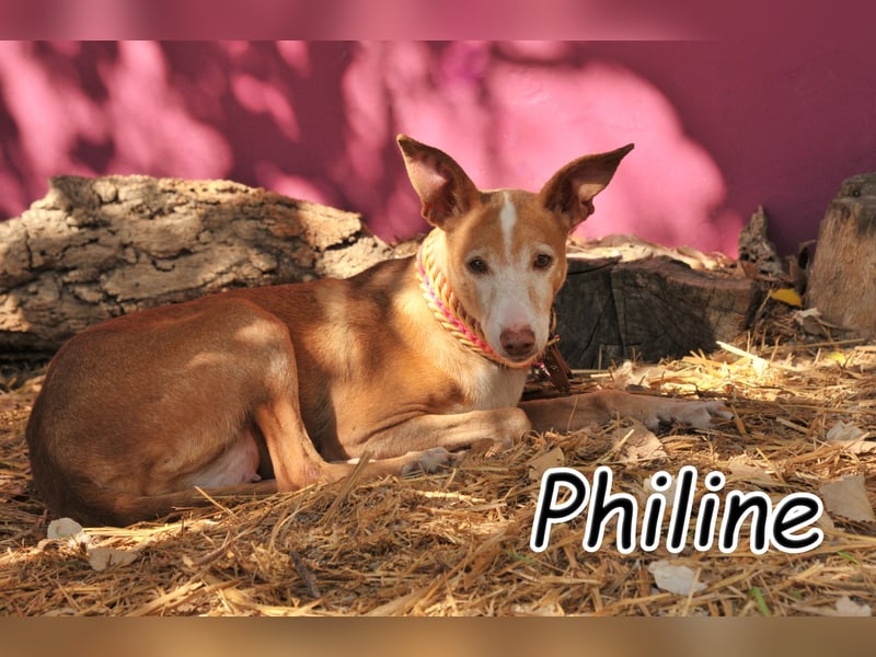 Öffnen Sie ihr Herz für Philine?