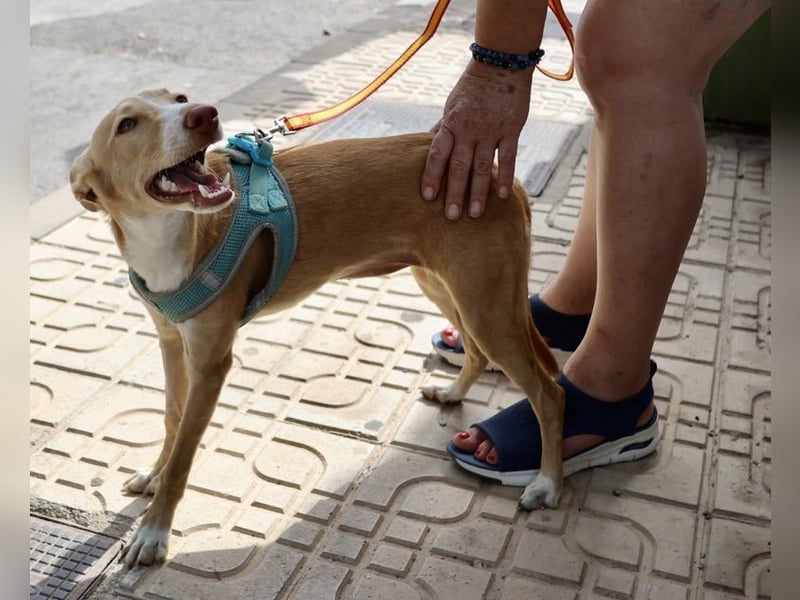 Moka - Freundlich, Zutraulich und Verträglich