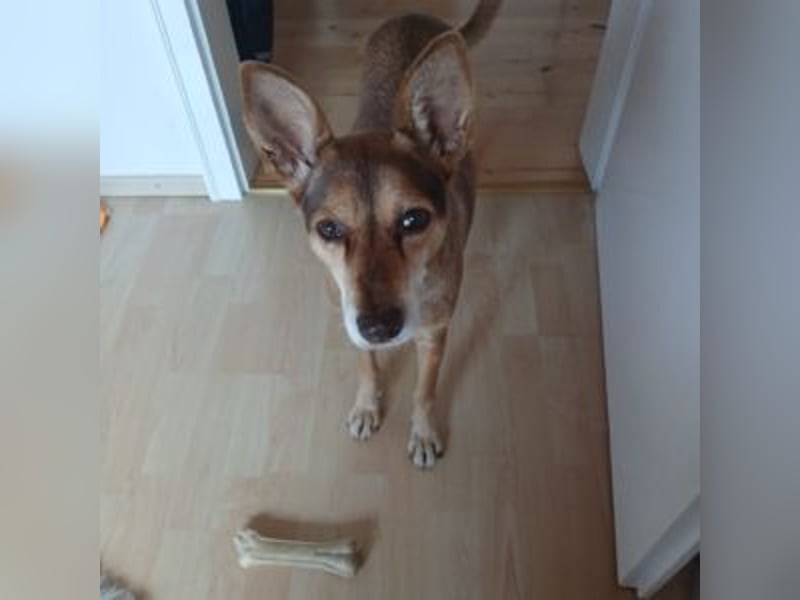 LUA-bezaubendes, treues, außergewöhnlich freundliches Mädchen, hat durch Tot seine Fam. verloren LUA-bezaubendes, treues, außergewöhnlich freundliches Mädchen, hat durch Tot seine Fam. verloren