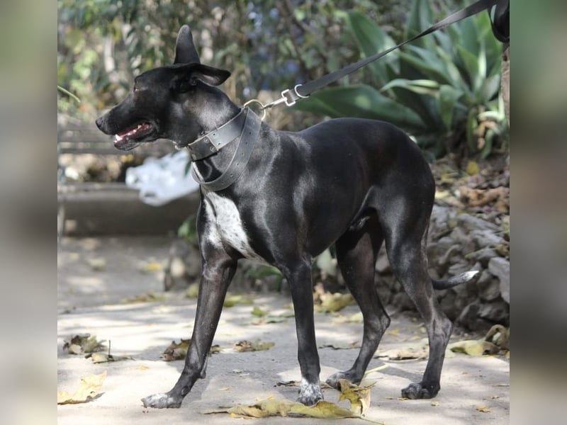 MARLON ist dein Freund fürs Leben