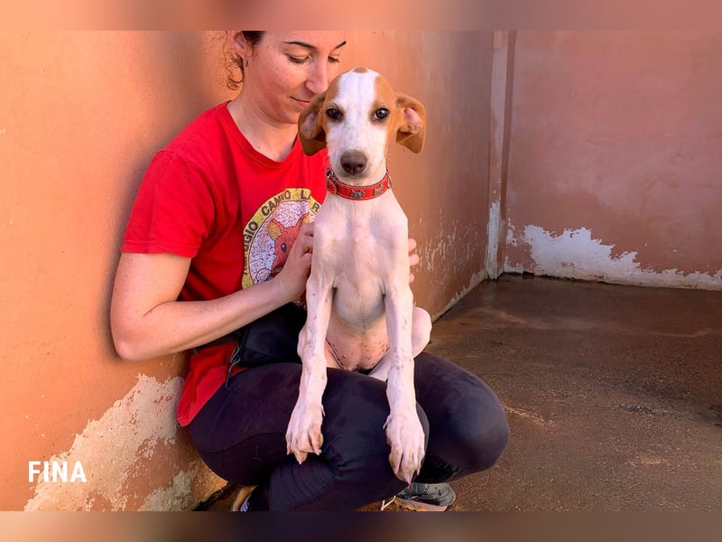 Fina auf Körbchensuche