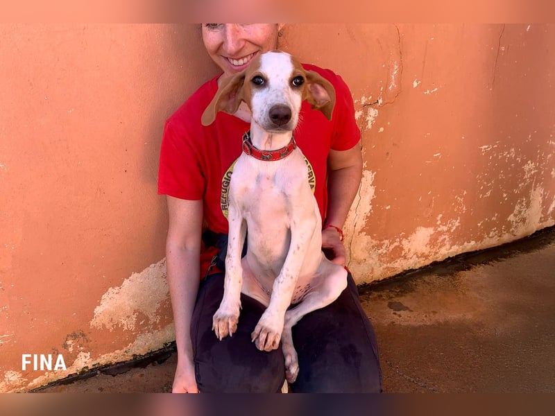 Fina auf Körbchensuche