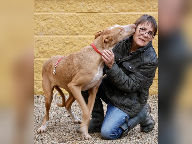 Noa - aufmerksam, verschmust und bewegungsfreudig