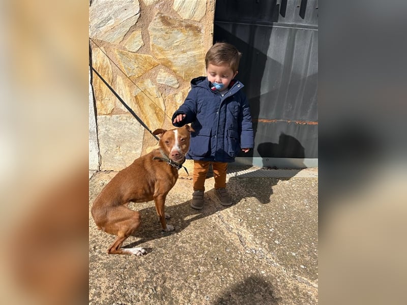 Tina (noch in Spanien)- liebt lange Schläfchen