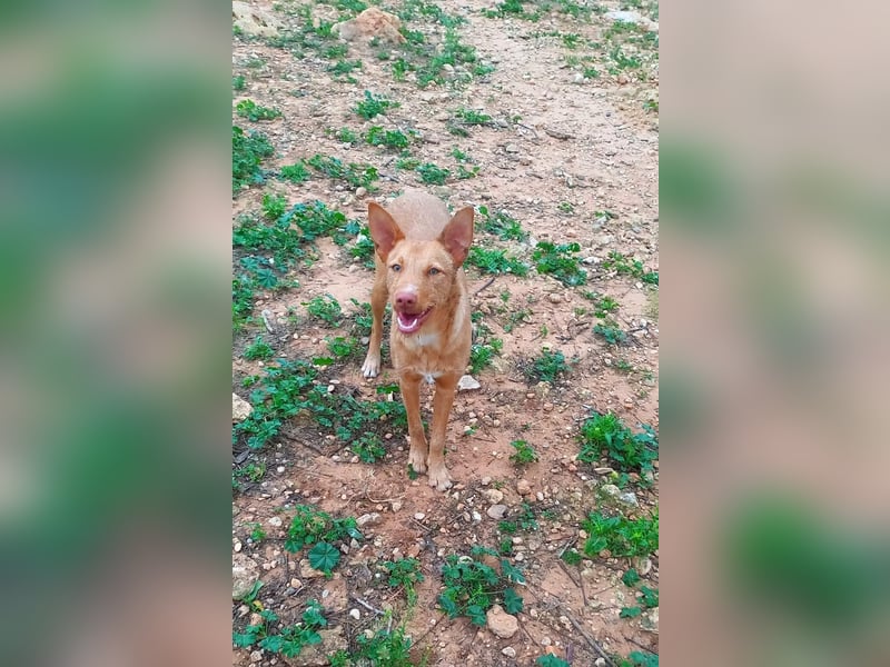 Winnie