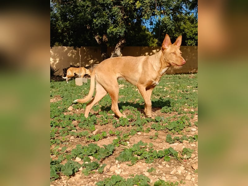 Winnie