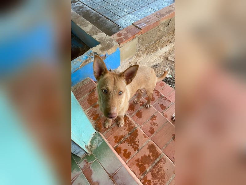 Winnie