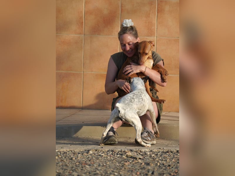 CARLA-alle lieben diese Kuschelmaus - wo ist ihre liebevolle Familie?