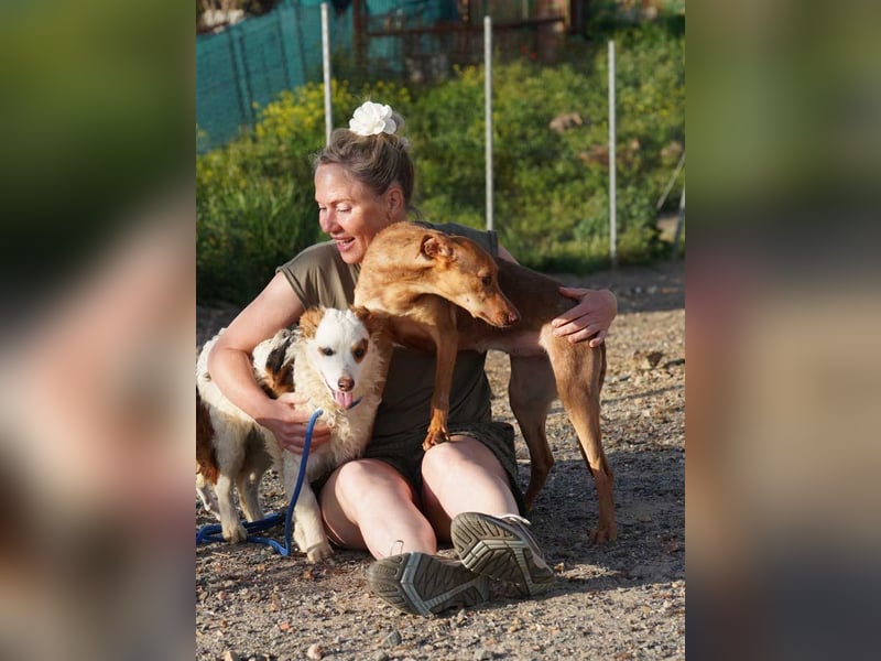 CARLA-alle lieben diese Kuschelmaus - wo ist ihre liebevolle Familie?