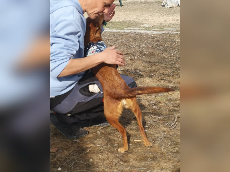 Lady, sucht ein warmes Körbchen