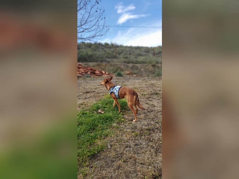 Lady, sucht ein warmes Körbchen