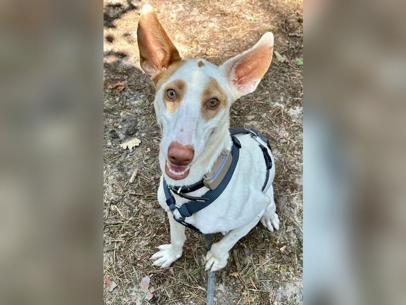 Barbi, sucht dringend einen neuen Platz