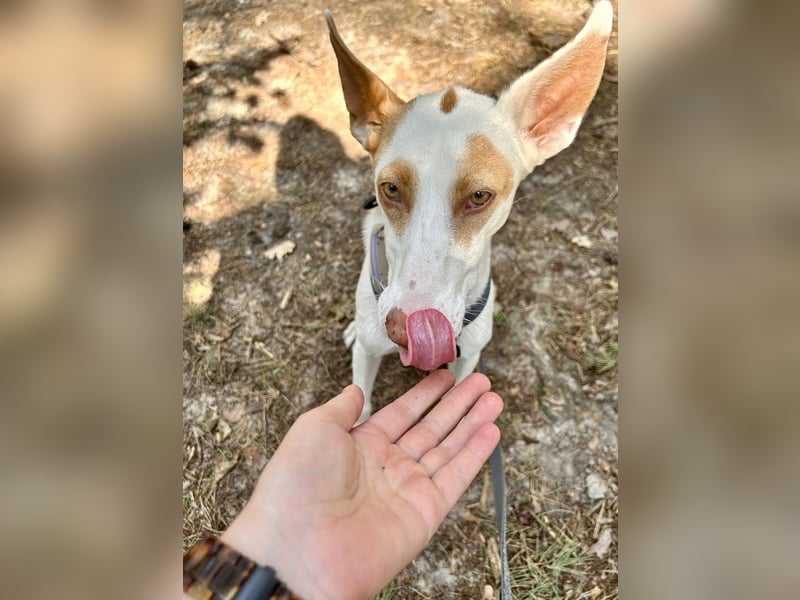 Barbi, sucht dringend einen neuen Platz