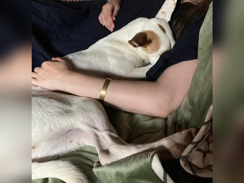 Barbi, sucht dringend einen neuen Platz