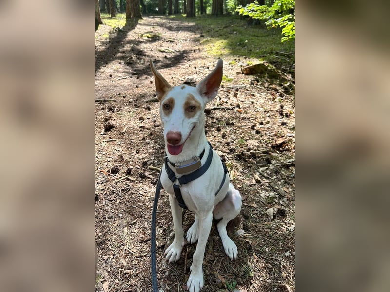 Barbi, sucht dringend einen neuen Platz