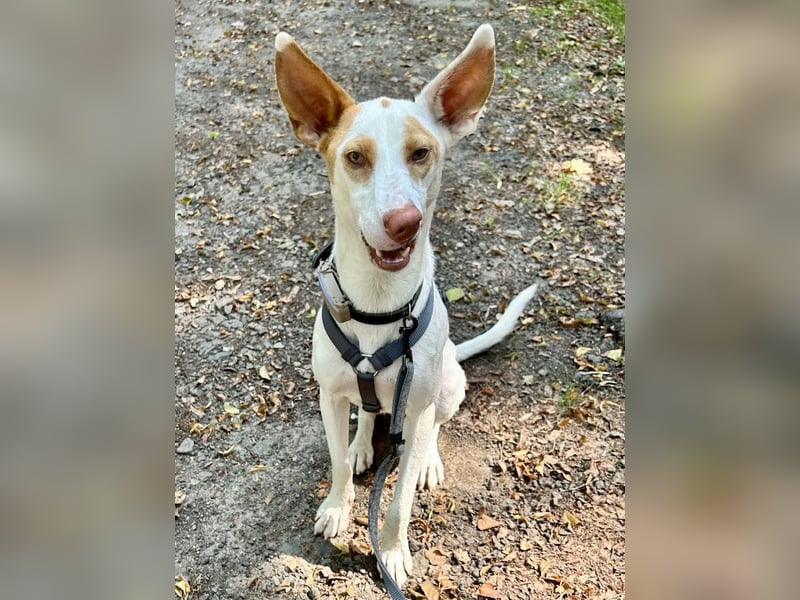 Barbi, sucht dringend einen neuen Platz