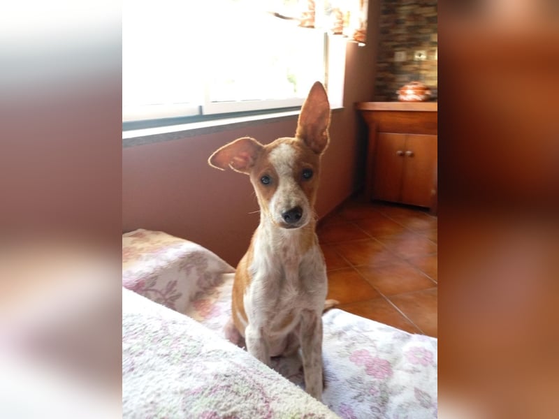 ❤️ CUCA ❤️