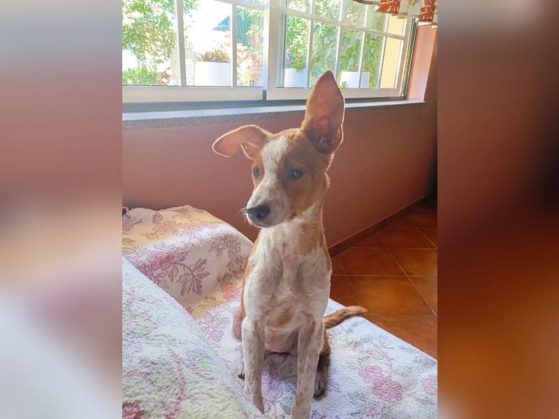 ❤️ CUCA ❤️