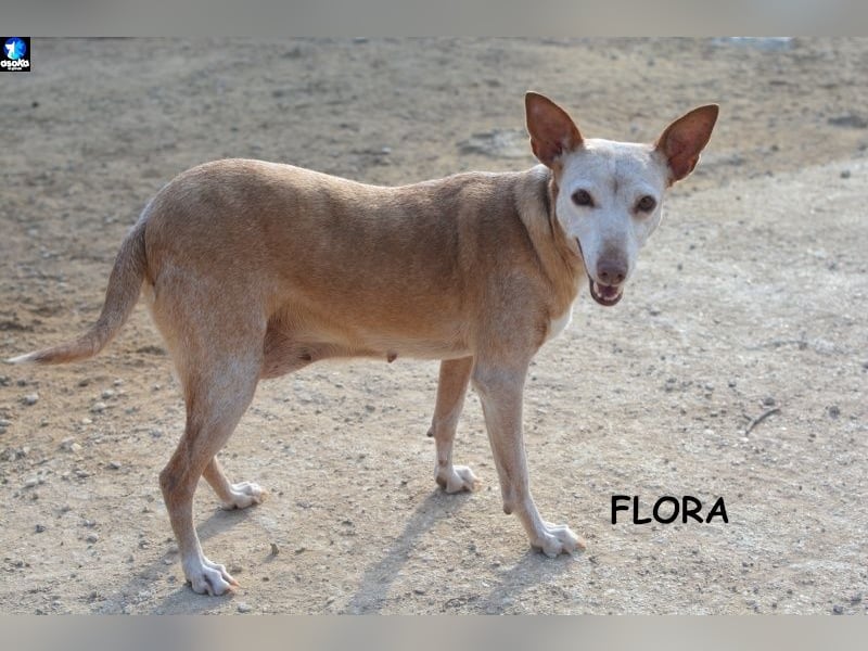 ❤️FLORA❤️