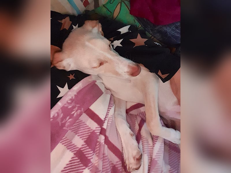 FANNY – strahlendes Wesen