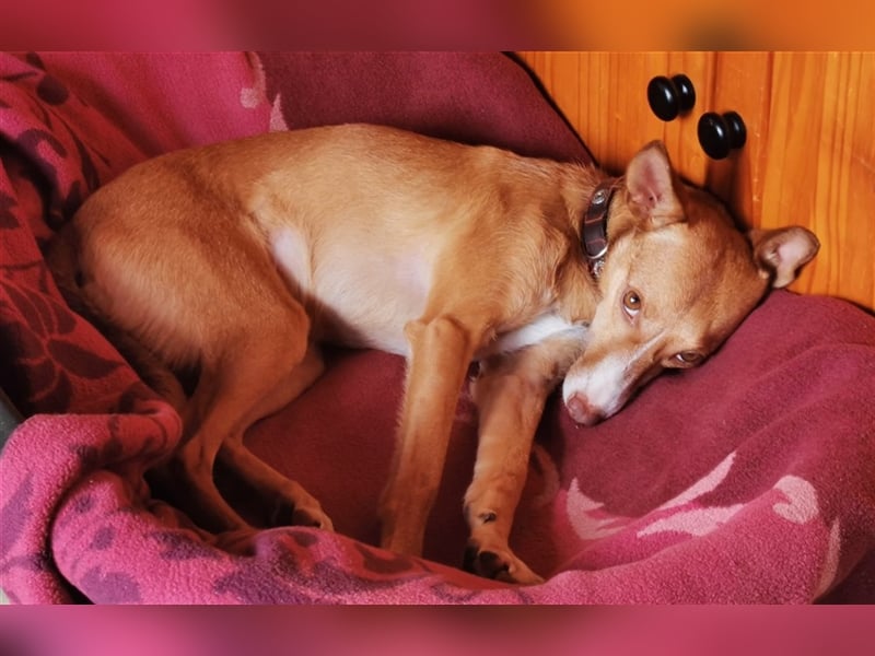 Tilly *** PS in 517xx ***