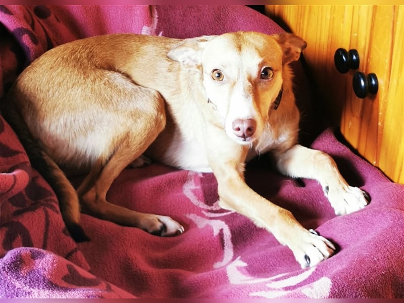 Tilly *** PS in 517xx ***