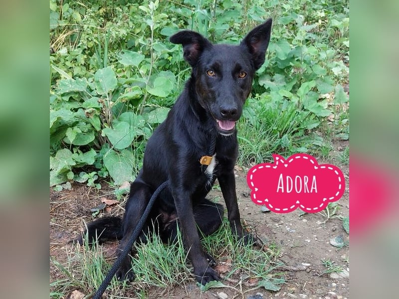 Adora ein Schatz