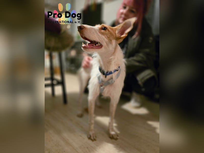 Lilo auf Pflegestelle