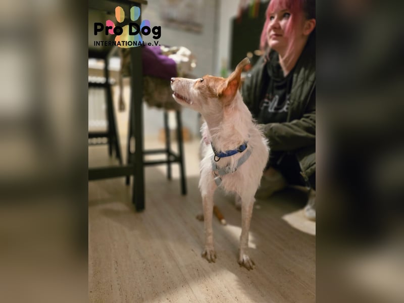 Lilo auf Pflegestelle