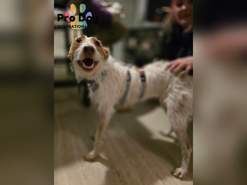 Lilo auf Pflegestelle