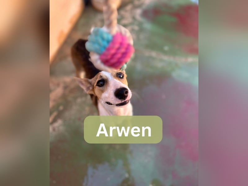ARWEN