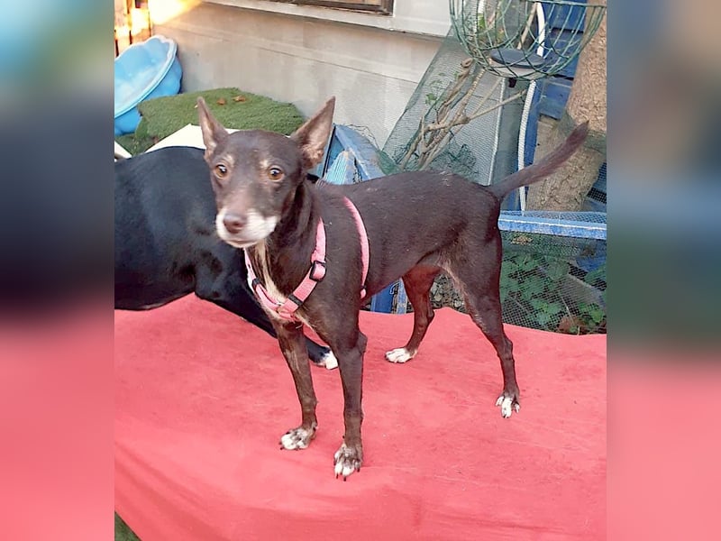 OLIVIA – kleine Heldin