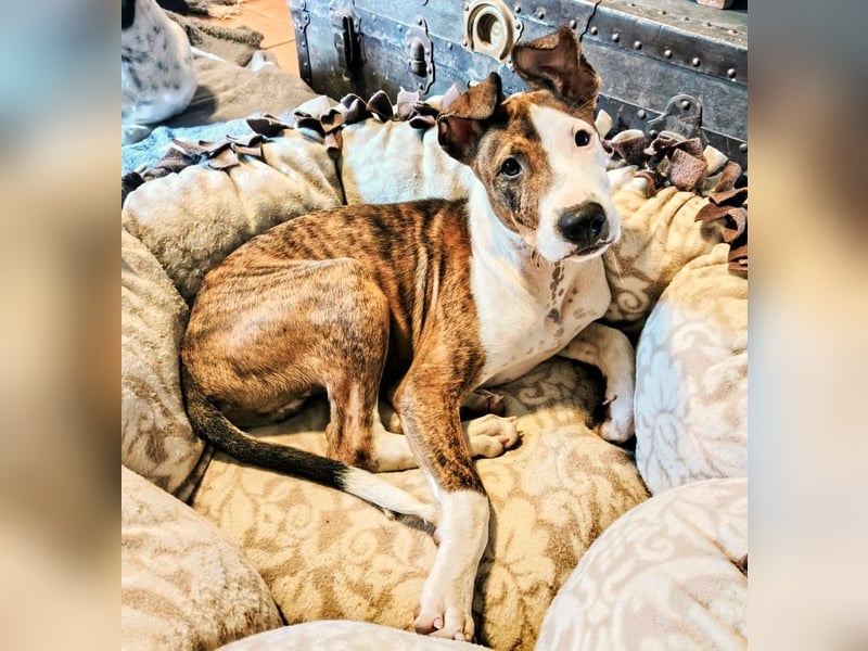 Henry – kleiner Wonneproppen