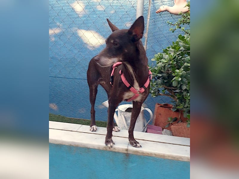 OLIVIA – kleine Heldin