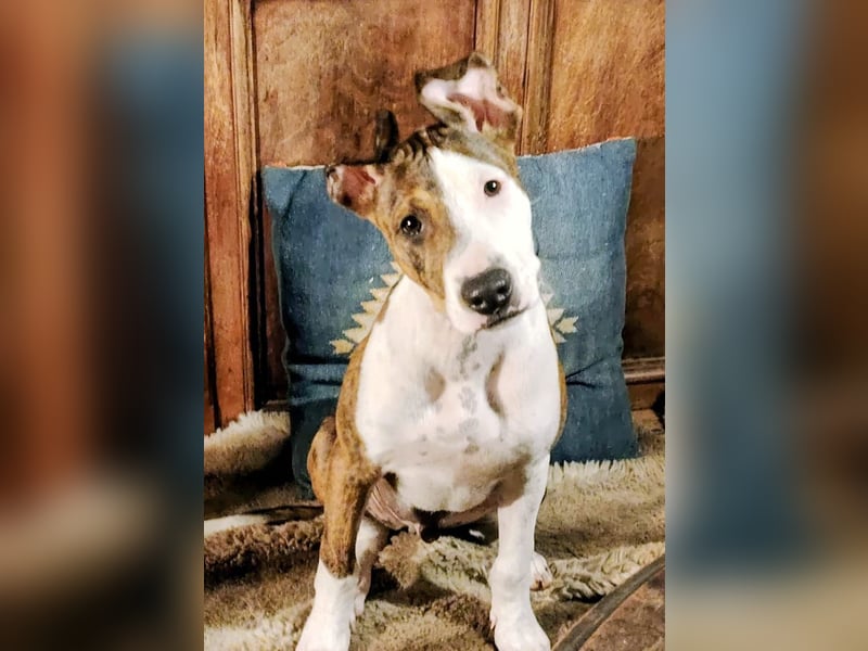 Henry – kleiner Wonneproppen