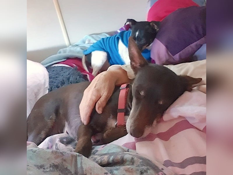 OLIVIA – kleine Heldin