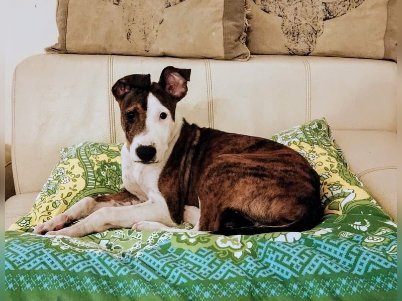 Henry – kleiner Wonneproppen