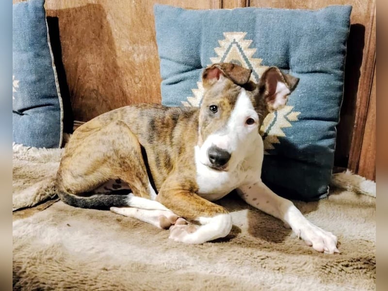 Henry – kleiner Wonneproppen