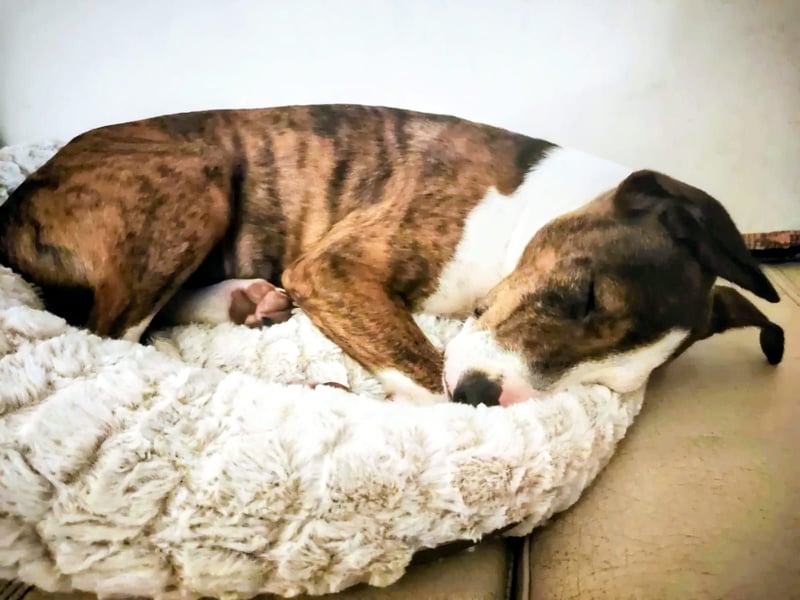 Henry – kleiner Wonneproppen