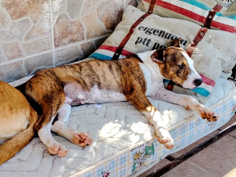 Henry – kleiner Wonneproppen