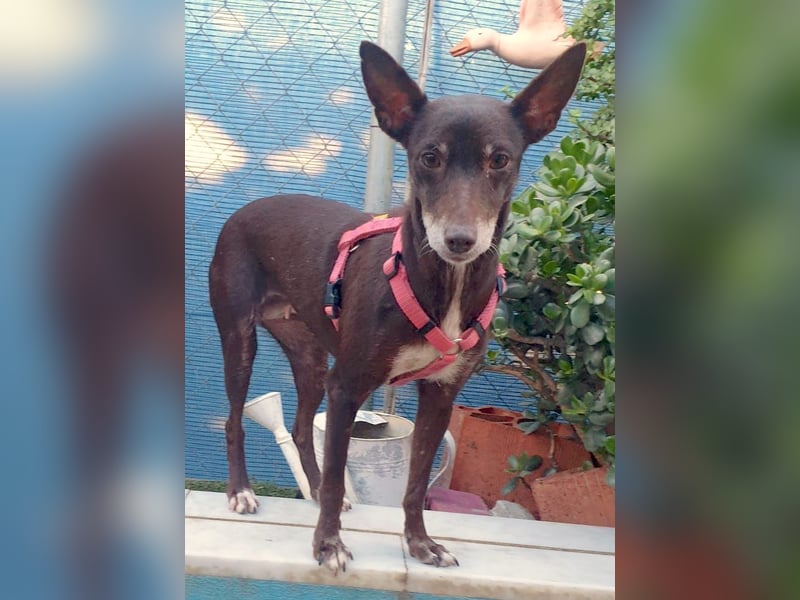 OLIVIA – kleine Heldin