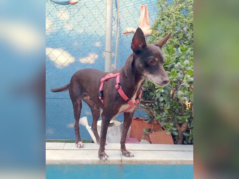 OLIVIA – kleine Heldin