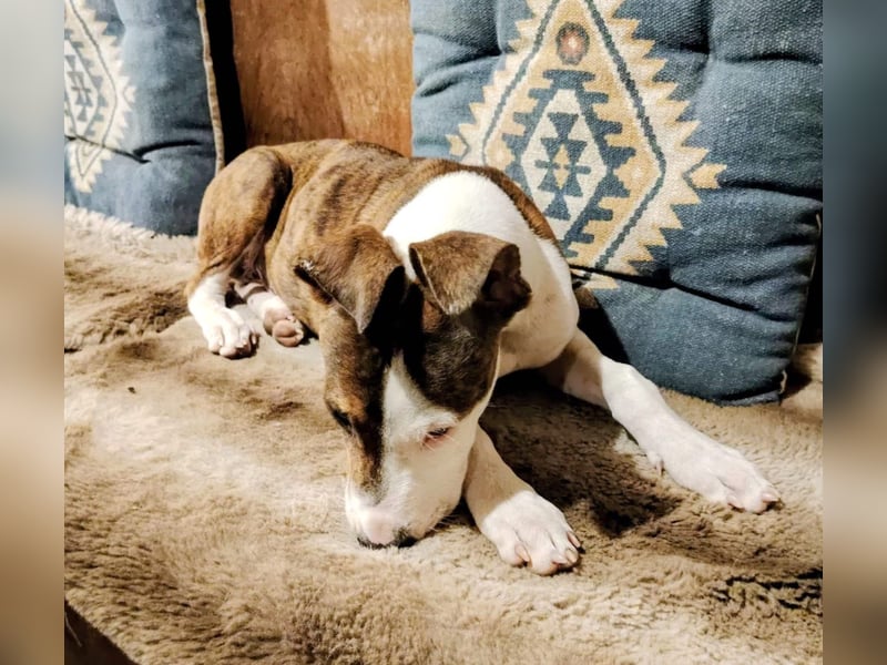 Henry – kleiner Wonneproppen