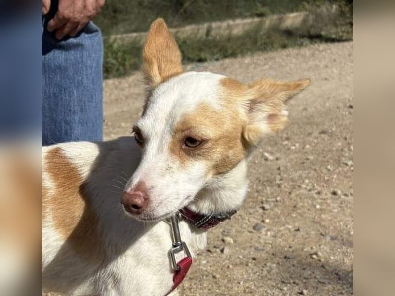 ELIO-friedlicher, ruhiger, ausgeglichener Bub sucht sein warmes, liebevolles Zuhause