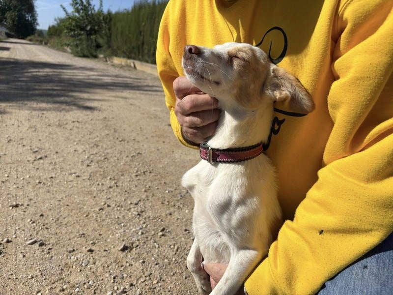 ELIO-friedlicher, ruhiger, ausgeglichener Bub sucht sein warmes, liebevolles Zuhause