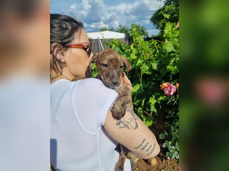 OREGON- ruhig, gelassen, erkundet der kleine Bub die Welt. Fehlt nur noch seine liebevolle Familie