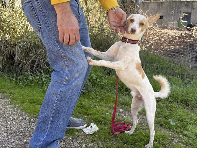 ELIO-friedlicher, ruhiger, ausgeglichener Bub sucht sein warmes, liebevolles Zuhause