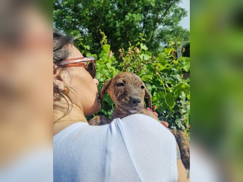 OREGON- ruhig, gelassen, erkundet der kleine Bub die Welt. Fehlt nur noch seine liebevolle Familie