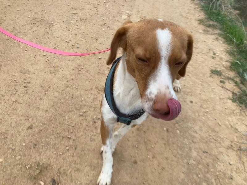 FINTIS- freundliches, bewegungsfreudiges, etwas schüchternes Mädchen sucht ihr liebevolles Zuhause