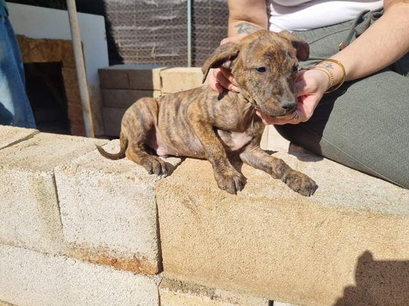 OREGON- ruhig, gelassen, erkundet der kleine Bub die Welt. Fehlt nur noch seine liebevolle Familie